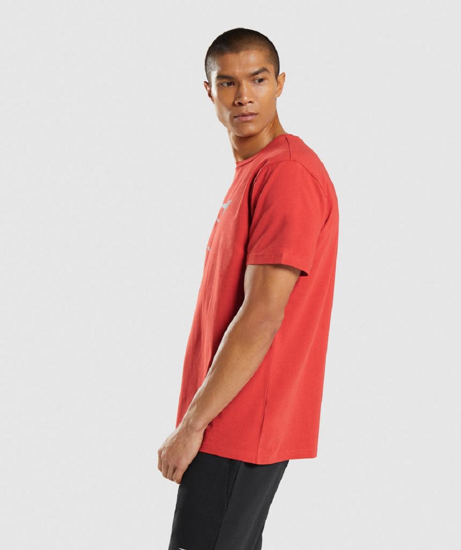 T Shirts Gymshark Sharkhead Infill Hombre Rojas | CO 3420QMA